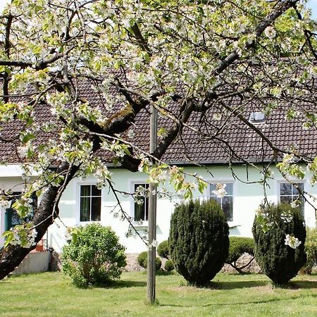 Pension Gestuet Lindenhof Templin Extérieur photo
