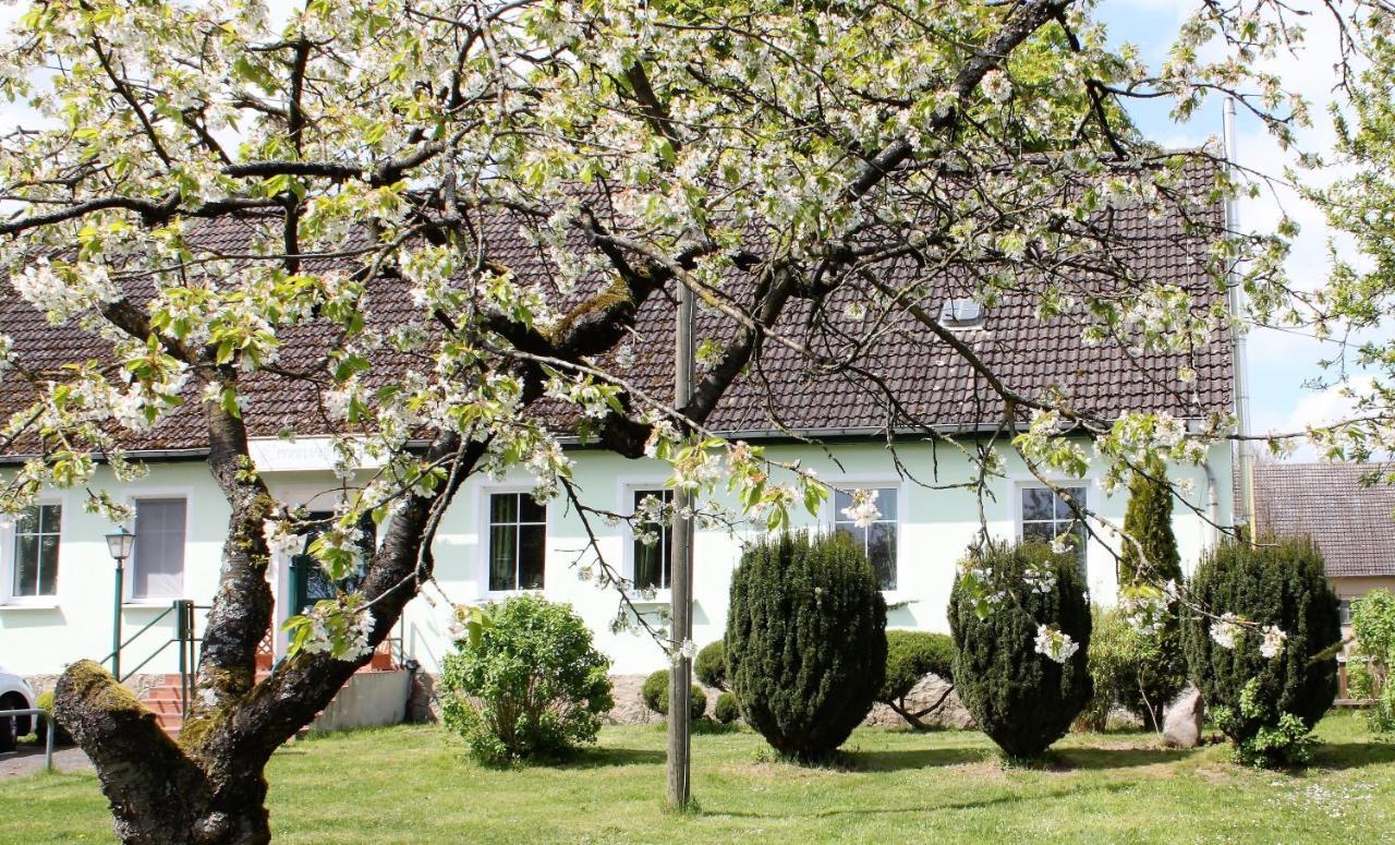 Pension Gestuet Lindenhof Templin Extérieur photo