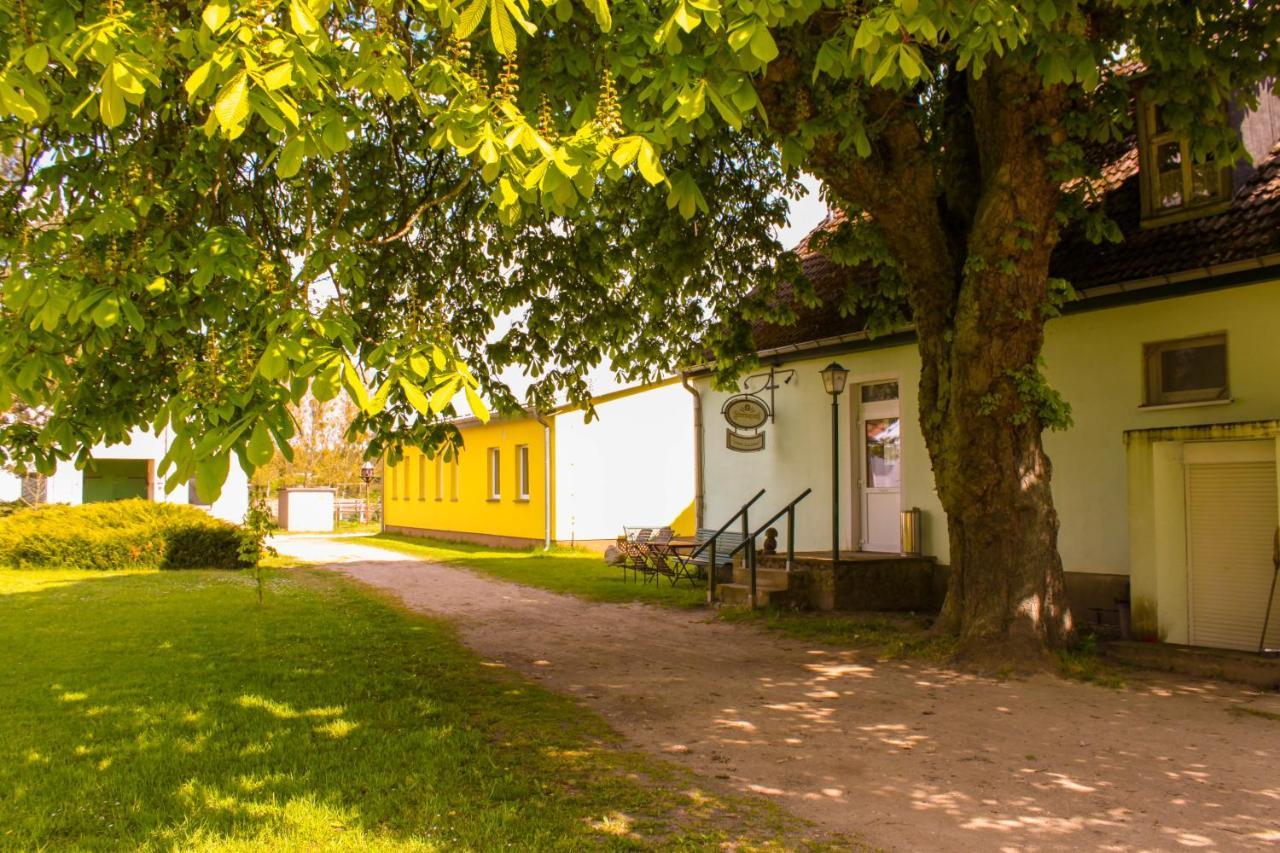 Pension Gestuet Lindenhof Templin Extérieur photo